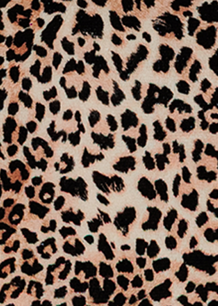 Collection image for: Leopardato