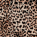 Leopardato
