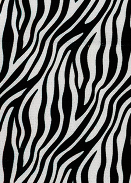 Collection image for: Zebrato
