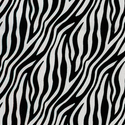 Zebrato
